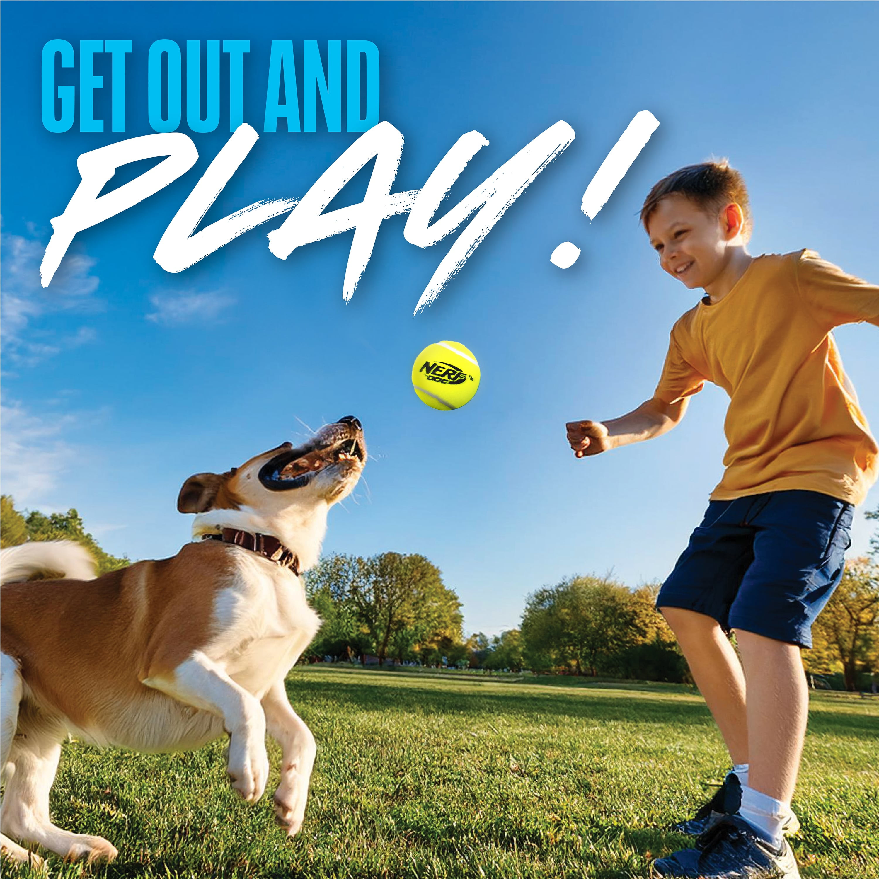 Nerf Dog Squeak Tennis Ball Dog Toy, 3 inch, 2 Pack