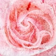 thumbnail image 2 of Kimberly, Allen 26x26 Black Ornate Wood Framed with Double Matting Museum Art Print Titled - Rose Center, 2 of 4