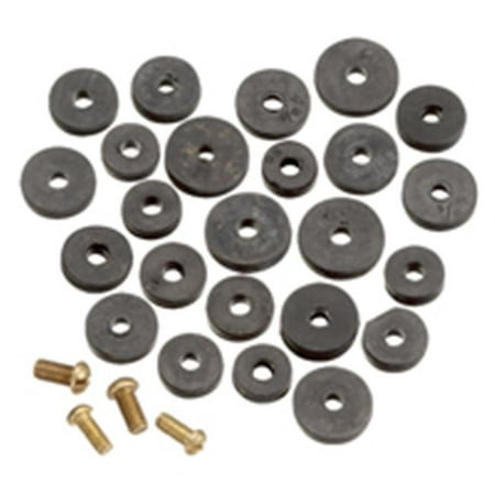 

PP805-20 Flat Faucet Washer Assortment