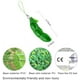 thumbnail image 4 of Paquete de 5 juguetes antiestrés Peapod, llavero con forma de guisante de edamame y extrusión de frijoles, guisantes y soja, para aliviar el estrés (5 unidades), 4 of 5