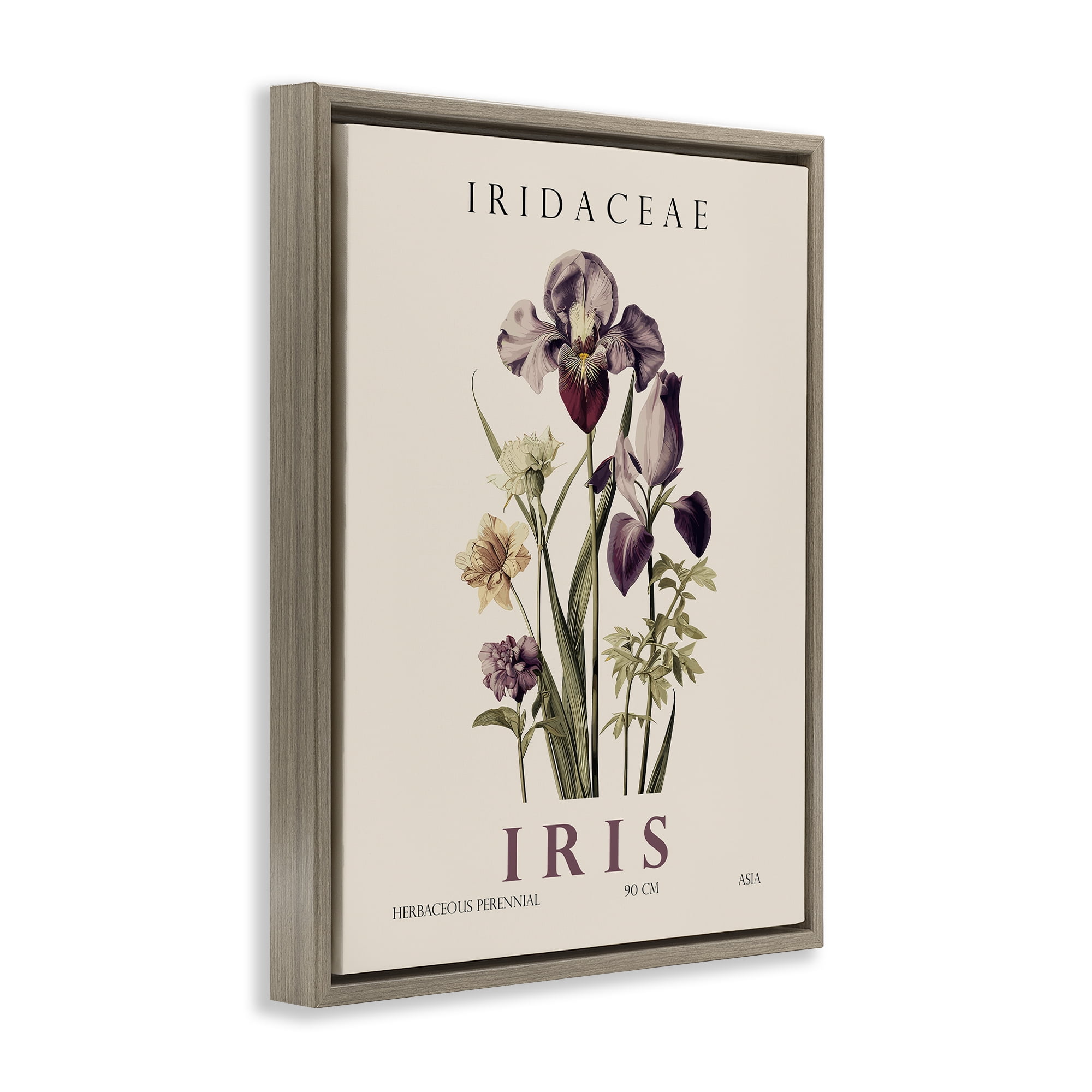 Stupell Industries Natural Iris Bundle Brown Framed Floater Canvas Wall Art, design by Christopher Giampietro