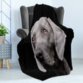 thumbnail image 4 of Weimaraner Soft Flannel Fleece Throw Blanket, Close-up Brownish Colored Dog Head Portrait on Plain Backdrop, Cozy Plush for Indoor and Outdoor Use, 60" x 80", Charcoal Grey and Dimgray, by Ambesonne, 4 of 5