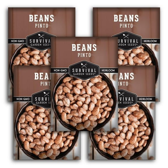 5 Packs Pinto Bean Seeds - Mottled / Peruano Beans - Non-GMO Heirloom Annual Full Sun Vegetables
