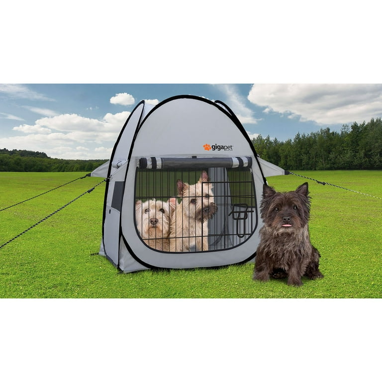 Walmart 2025 dog tent