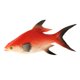 thumbnail image 4 of Pescado artificial realista Artificial Mar Pescado Modelo Ornamento Para La Decoración Del Acuario Kids Juguete Educativo - rojo rojo Magideal Pescado artificial realista, 4 of 7