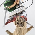 thumbnail image 3 of Figura de anime de PVC, juguete decorativo, colección de muñecos de personajes de anime, adornos para dormitorio y sala de estar., 3 of 9