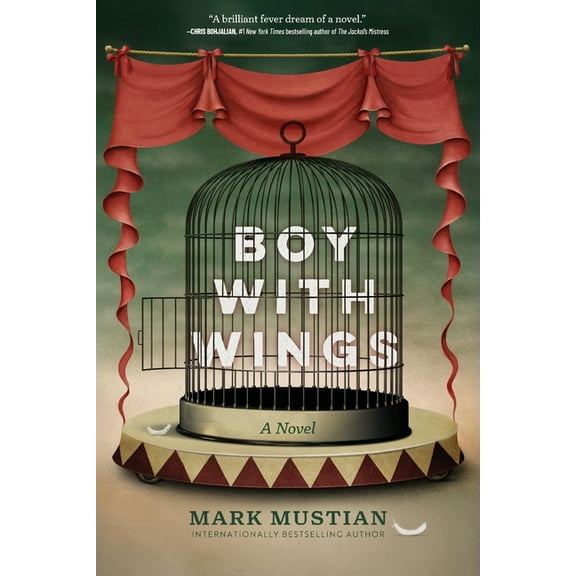 Boy With Wings, (Paperback)