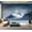 Color4, variant on Peel and Stick Wallpaper Coast polarlight stars Modern Art Wall Mural Decor Self Adhesive and Removable 69in x 98in