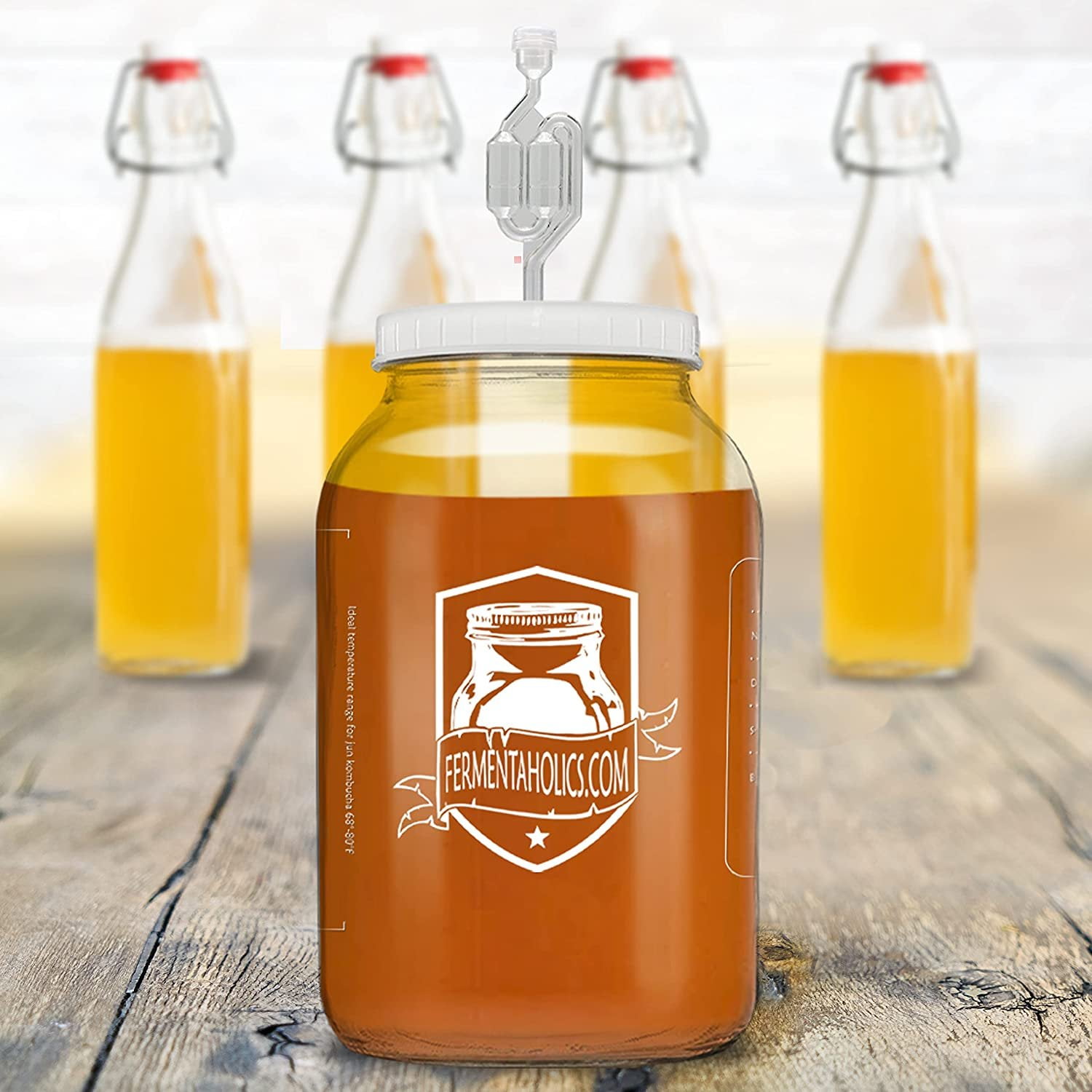 Buy Airtight One Gallon Standard Fermentation Lid Gasket with Airlock