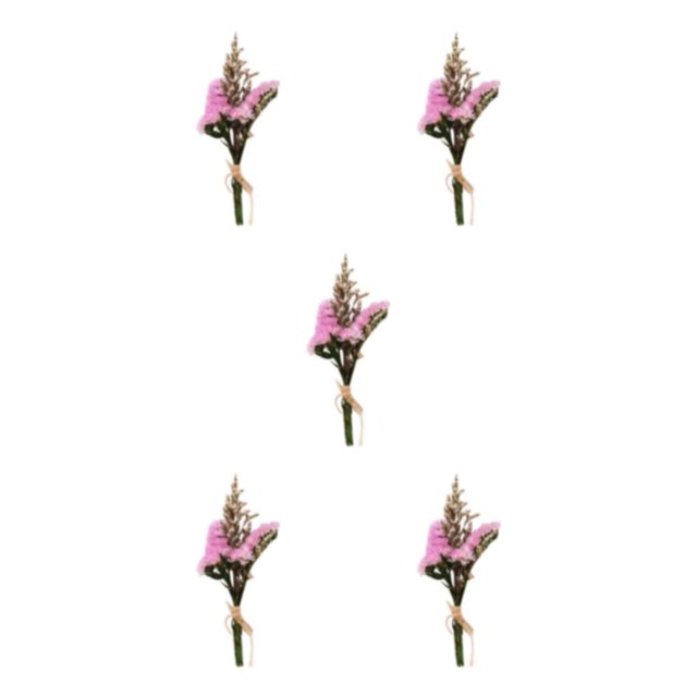 Advancent Durabilidad y encanto duraderos en ramos de flores secas naturales, ramos de flores de bajo mantenimiento HS-13 Type1 NO1