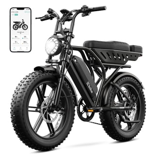 48V 13Ah Battery AKEZ-ZX,750W Electric Bike for Adults,20