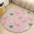 thumbnail image 4 of Flamingo Pattern Washable Round Rug -Circle Area Rugs for Nursery Bedroom, Vintage Non Slip Non Shedding Low Pile Carpet for Living Room Coffee Table Entryway, 4 of 6