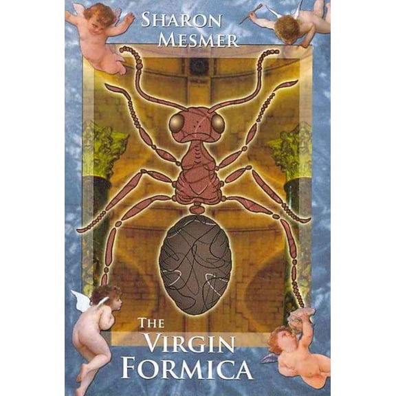 Pre-Owned The Virgin Formica, (Paperback)