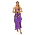 thumbnail image 2 of Zaldita Women's Belly Dance Dress Set Belly Crop Top and Dancing Skirt Hip Scarf 3-Piece Outfit Purple One Size, 2 of 7