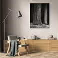 thumbnail image 3 of Vitaly Geyman 28x40 Gallery Wrapped Canvas Wall Art Titled - Ancient Forest II BandW, 3 of 4