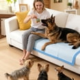 thumbnail image 6 of Powools Puppy Pads, 36"×30", 60 Count, Large Dog Pee Pads for Training, Super Absorbent Disposable Potty Pads, Leak Proof, Quick Dry, Odor Control, Indoor Use, 6 of 9