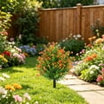 View all media