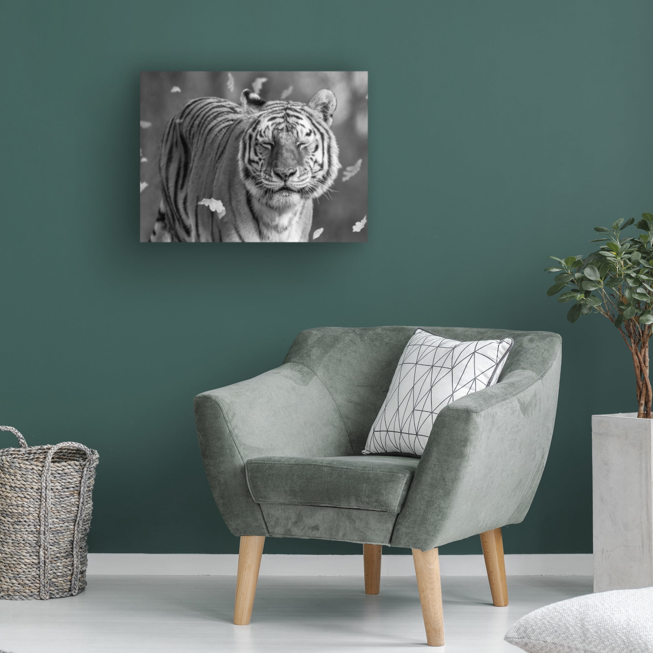Trademark Fine Art Ozan AKTAS  Tiger in The Motion Canvas Wall Art