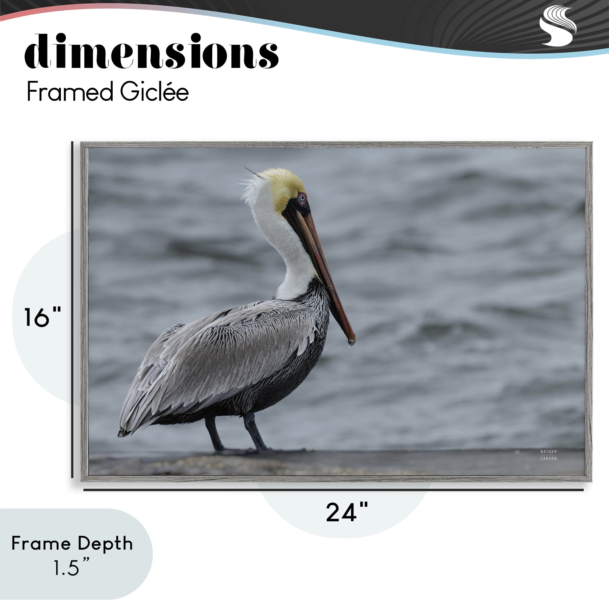 Stupell Industries Pelican Watch Photography Gray Framed Giclee Art, design by Nathan Larson