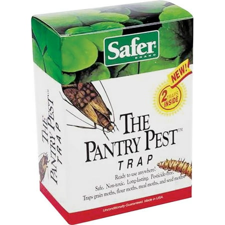 THE PANTRY PEST TRAP (Best Way To Get Rid Of Pantry Moths)