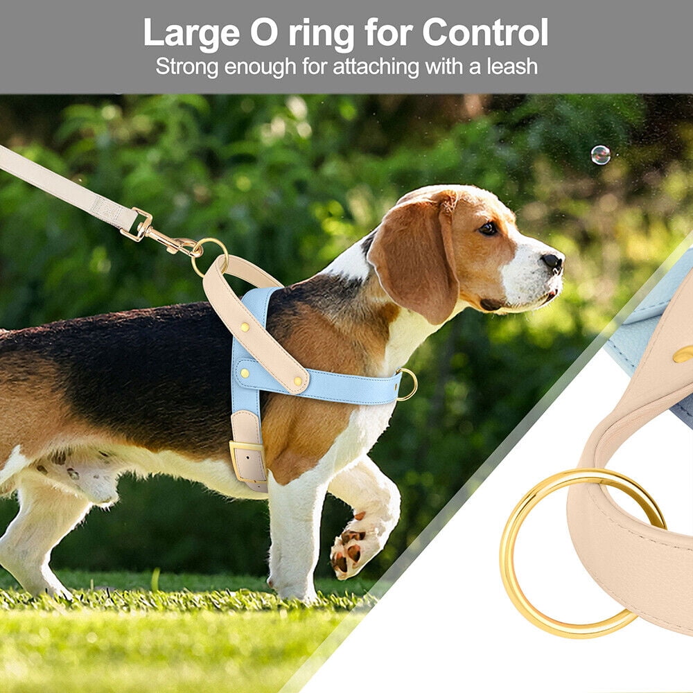 Didog Fashion No Pull Front Leading Dog Harness Soft Leather Adjustable Chest Vest with Handle