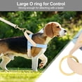 thumbnail image 3 of Didog Fashion No Pull Front Leading Dog Harness Soft Leather Adjustable Chest Vest with Handle, 3 of 8