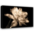 thumbnail image 1 of Charles Britt 32x25 Gallery Wrapped Canvas Wall Art Titled - Double Dappled II, 1 of 4