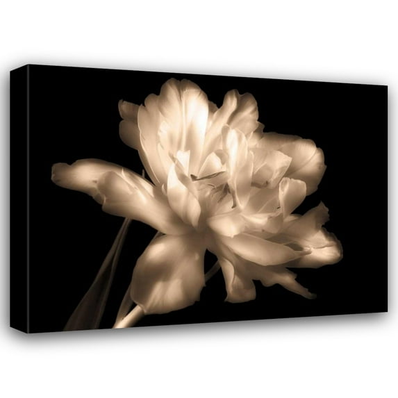 Charles Britt 32x25 Gallery Wrapped Canvas Wall Art Titled - Double Dappled II