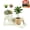 #1, variant on Funny Plant Pots, Lazy Guy Resin Planter with Drainage Hole, Succulent & Cactus Flower Pot, Cute Face Planter for Indoor Outdoor Home Office Desk Decor, Funny Gardening Gift