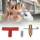 thumbnail image 2 of Bebedero De Agua De Conejo De Plástico, Pezón De Agua De Conejo, Suministros Para Mascotas Para Pezón De Agua De Conejo Fuente De Agua Potable De Conejo Fuente De Agua Potable Ccdes Rabbit Water Nipple, 2 of 8