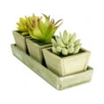thumbnail image 3 of K-Cliffs Faux Rustic Wooden Succulent Planter Arrangement| of Cactus, Aloe Vera, 3 of 5