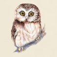 thumbnail image 3 of CafePress - Cute Little Watercolor Saw Whet Owl Bird Nature Ar - Men's Classic Graphic T-Shirt, 3 of 4