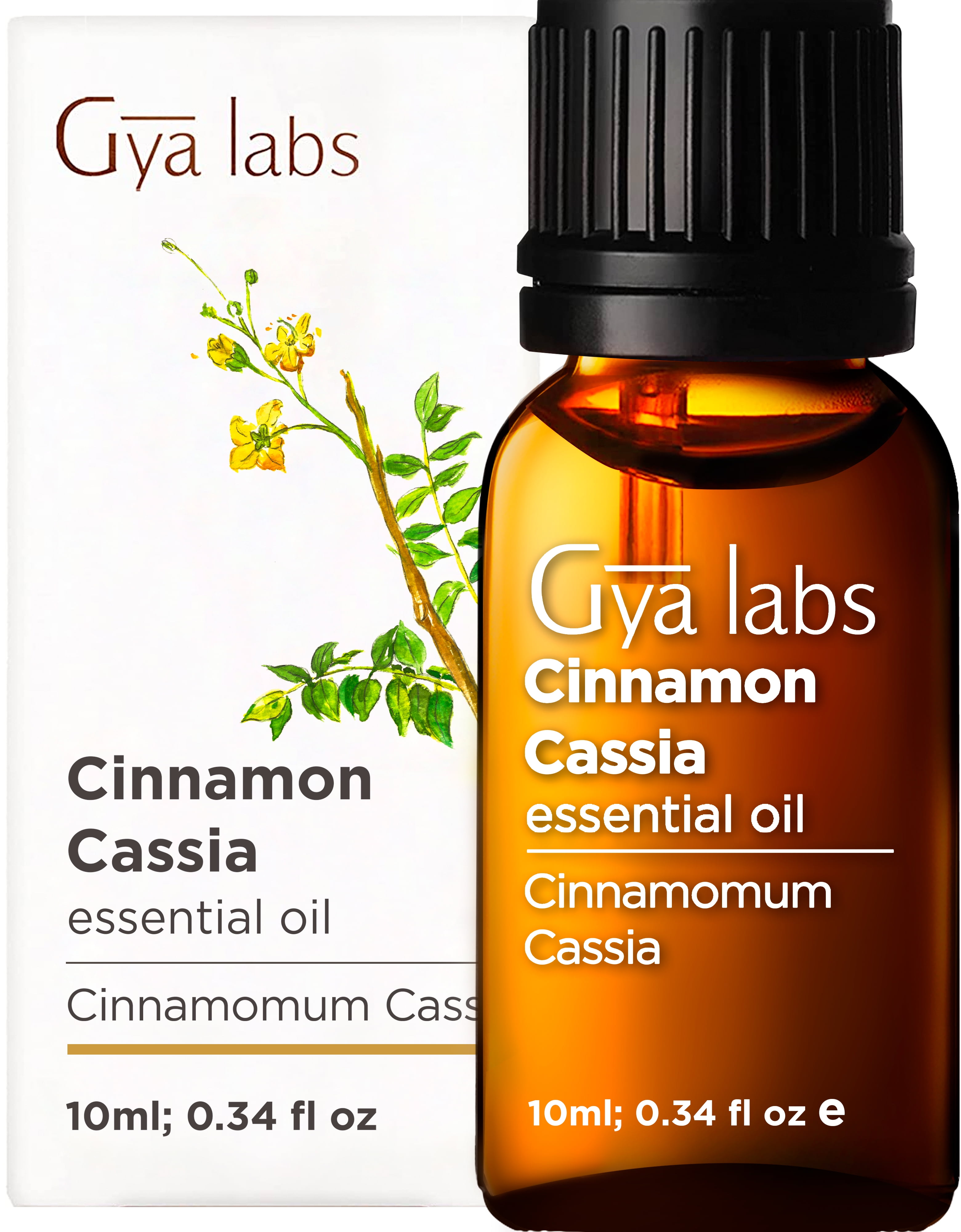 Gya Labs Cinnamon Cassia Essential Oil for Pain Relief - Natural Cinnamon Oil for Health and Relaxation - 100% Pure Therapeutic Grade Cinnamon Cassia Oil for Aromatherapy - 10ml