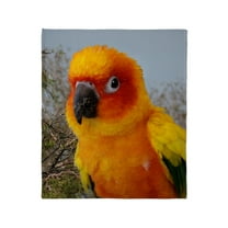CafePress - Tacoimg_2542 Throw Blanket - Soft Fleece Throw Blanket, 50"x60" for All Ages