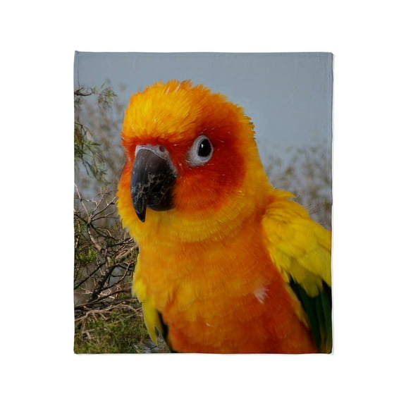 CafePress - Tacoimg_2542 Throw Blanket - Soft Fleece Throw Blanket, 50"x60" for All Ages