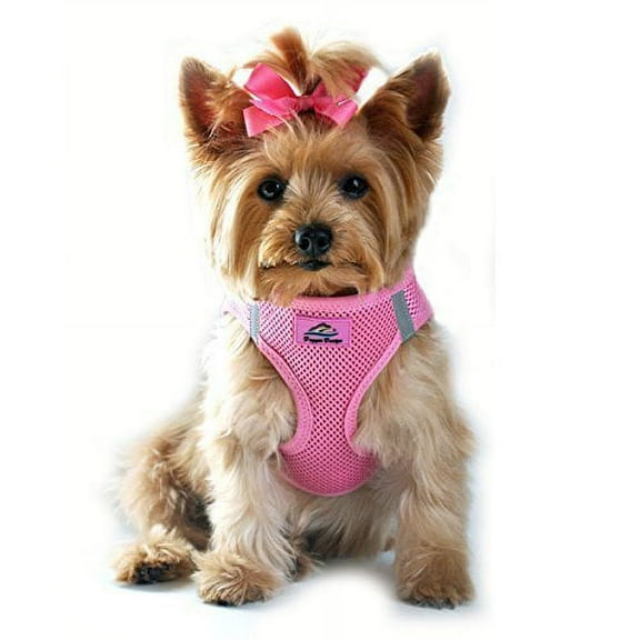 American River Ultra Choke-Free Mesh Dog Harness - Candy Pink Xs