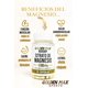 thumbnail image 2 of Citrato de Magnesio 800 mg Golden Max Sports – 70 Cápsulas | Suplemento Alimenticio para Salud Muscular, Ósea y Energía, 2 of 2