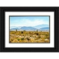 thumbnail image 1 of Murdock, Ramona 14x11 Black Ornate Wood Framed with Double Matting Museum Art Print Titled - Utah Desert II, 1 of 4
