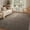 Brown, variant on 4x6 Washable Area Rugs for Bedroom Living Room, Low Pile Thin Rug Solid Color, Non-Slip Carpet Indoor for Home Decor (Grey)