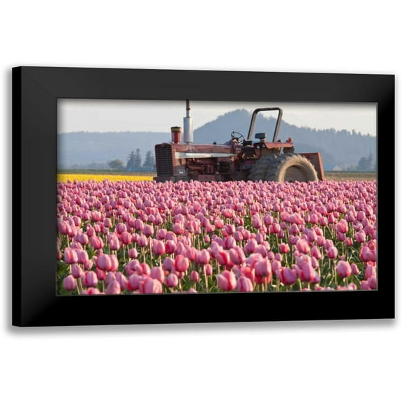 Styber, Dana 14x11 Black Modern Framed Museum Art Print Titled - Tractor and Tulips II