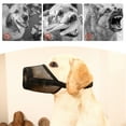 thumbnail image 3 of Dog Muzzle Adjustable Soft Mesh Dog Muzzle Breathable Anti-Biting Barking Chewing Dog Mouth Guard for Large Dogs, 3 of 8