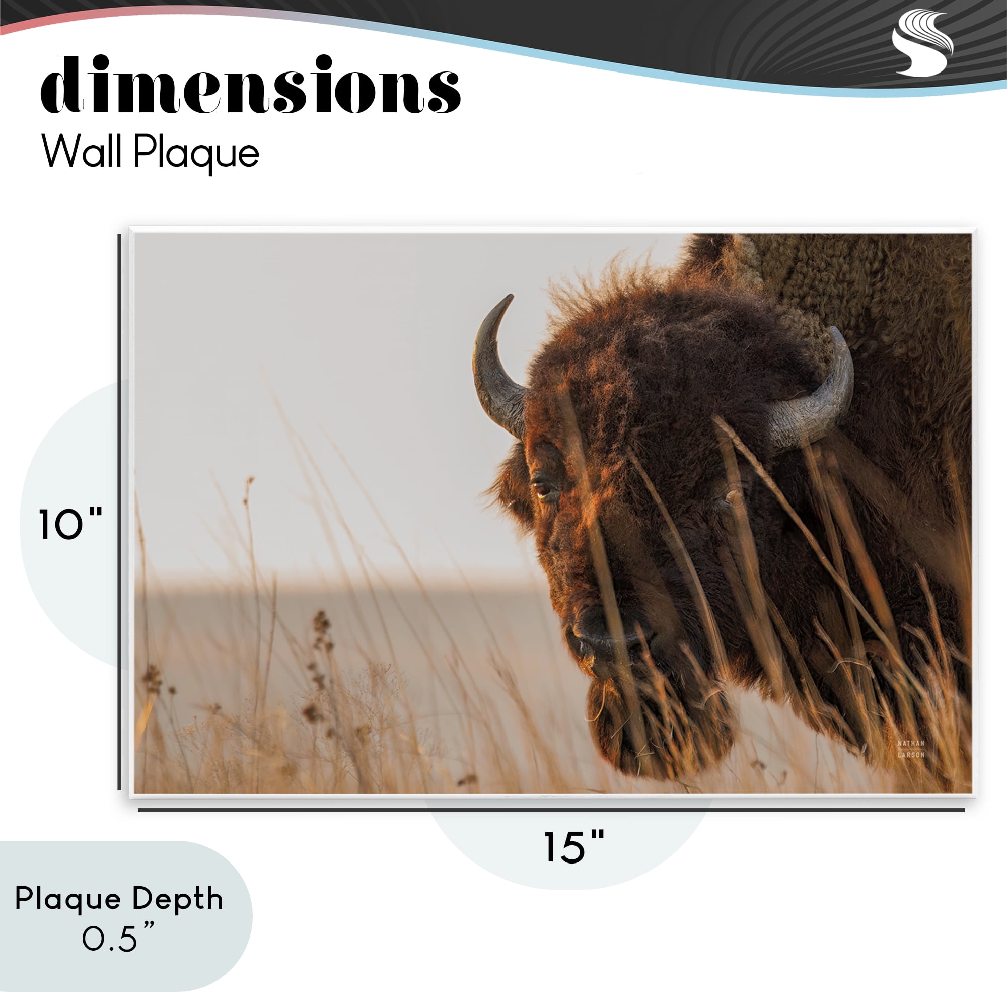 Stupell Industries Bison Sunset on Golden Prairie Wall Plaque Art, design by Nathan Larson