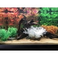 thumbnail image 2 of Plantas de acuario grandes Adorno de decoración de plantas de tanque de peces de plástico artificial para todos los peces, 2 piezas WD.WDQZL Hogar, 2 of 4