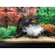 thumbnail image 2 of 2 uds. Acuario decoraciones pecera plantas de agua artificiales hechas de plástico blando WD.WDQZL Hogar, 2 of 4