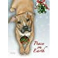 thumbnail image 2 of Pipsqueak Productions C582 Pit Bull Cartes de Noël en Boîte - Lot de 10, 2 of 2
