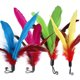 thumbnail image 5 of Juguetes para gatos, una variedad de juguetes combinados, divertido gato, ratón, campana, pelota y juego de plumas de 13, 5 of 5