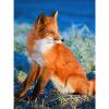 thumbnail image 1 of Kit de pintura de diamante 5D Fox Full Square Rhinestone DIY pared decoración del hogar regalo Tmvgtek Arte deco, 1 of 9