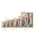 thumbnail image 3 of Tropic Parrot II - Framed Print w/glass - Natural Wood, 3 of 8