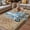 Brown Light Blue, variant on Vintage Sea Turtle Outdoor Rug for Patio/Deck/Porch, Non-Slip Large Area Rug 4 x 6 Ft, Brown Nautical Anchor Bubbles Coastal Indoor Outdoor Rugs Washable Area Rugs, Camping Rug Carpet Runner