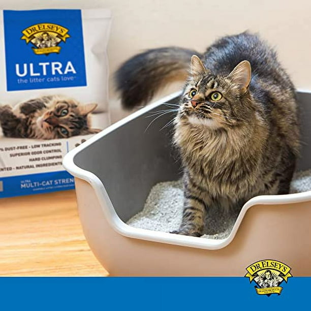 Cat attract hotsell litter walmart